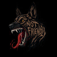 CROP TEE - NOT FRIENDLY Design